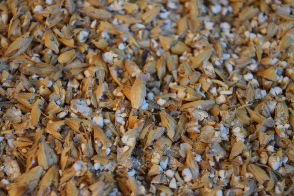 40# Bag of Milled Pilsner Malt