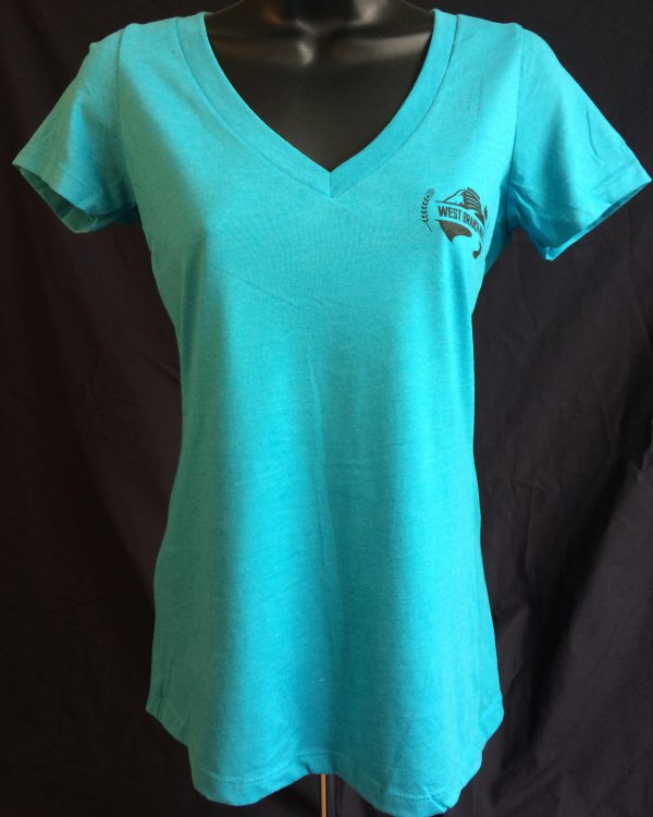 Blue V-Neck Shirt