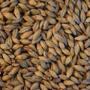 50# Bag of Pale Malt