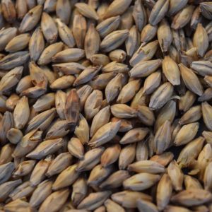 50# Bag of Vienna Malt